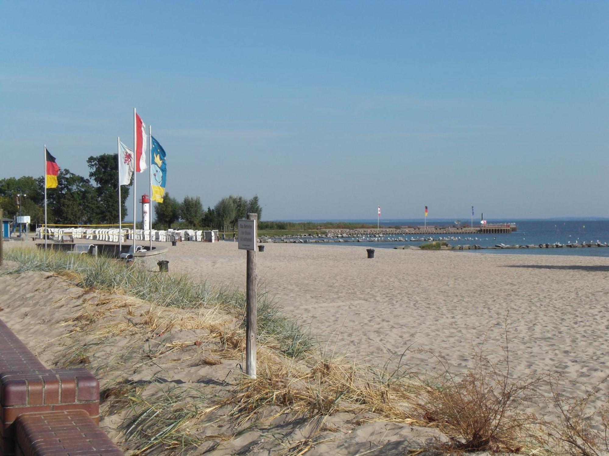 Kleine Sonnenblume Lägenhet Ueckermünde Exteriör bild