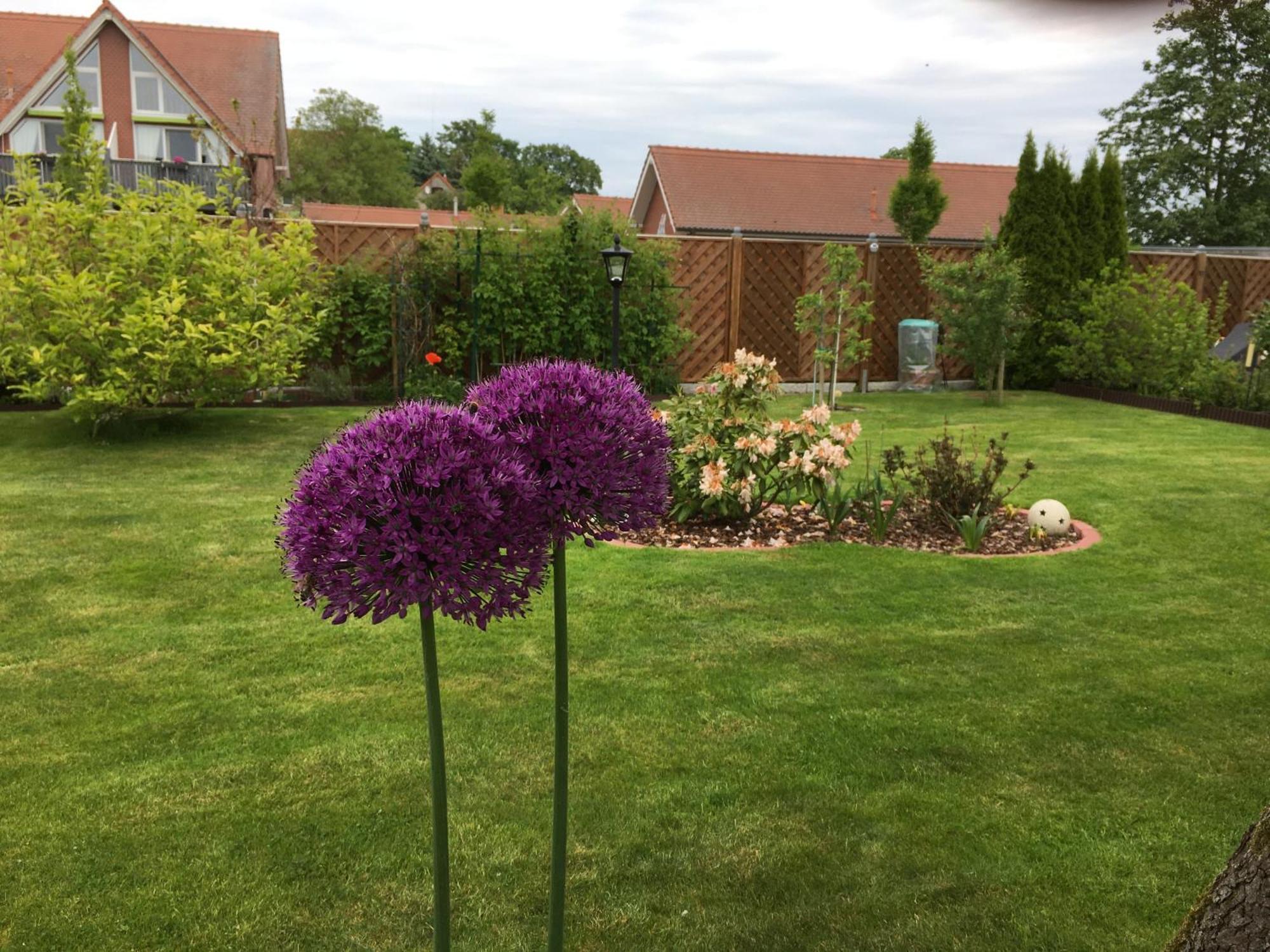 Kleine Sonnenblume Lägenhet Ueckermünde Exteriör bild